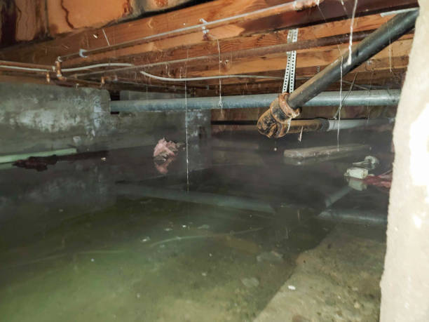 Best Ceiling water damage repair  in Lake Wylie, SC