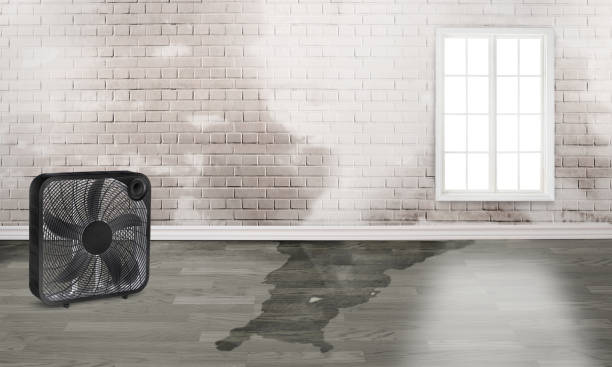 Best 24-hour water damage restoration  in Lake Wylie, SC