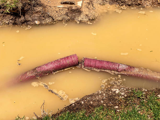Best Water damage restoration services  in Lake Wylie, SC